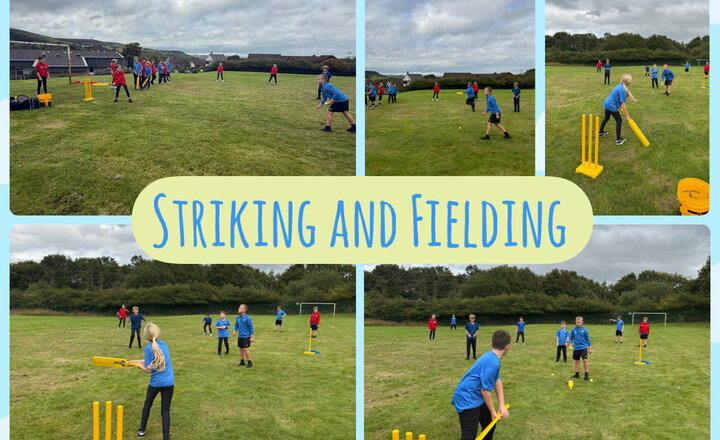 Image of Year 6 - Striking and Fielding 