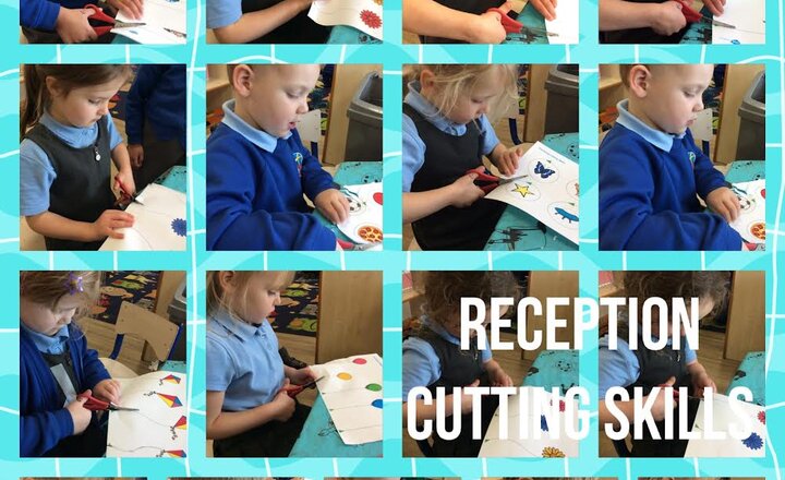 Image of Reception: Cutting Skills 