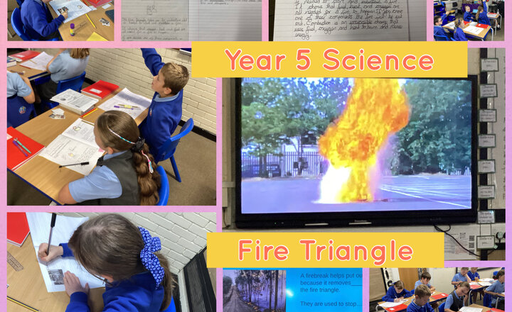 Image of Year 5 - Science