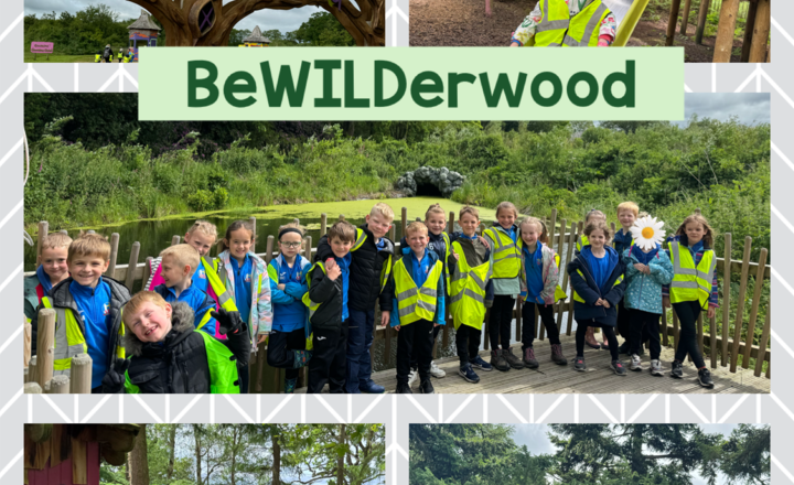 Image of Year 1 and 2 visit BeWILDerwood