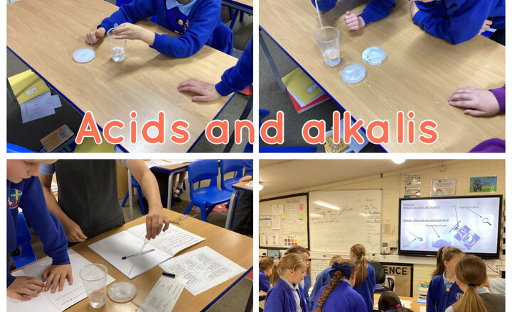 Image of Year 5 - Science