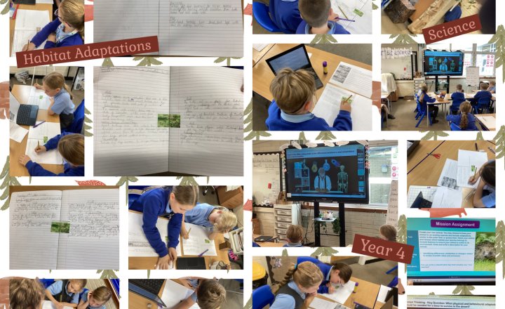 Image of Science in Year 4 