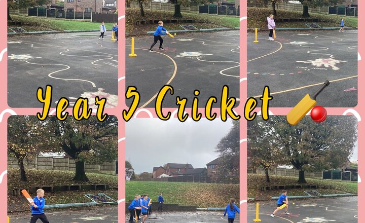 Image of Year 5 - Cricket 