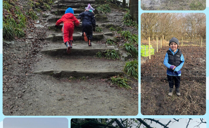 Image of The Big Winter Wander