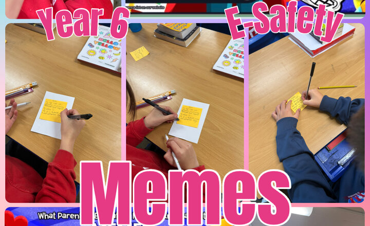 Image of Year 6 - E-Safety - Memes 