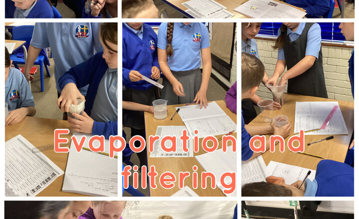 Image of Year 5 - Science