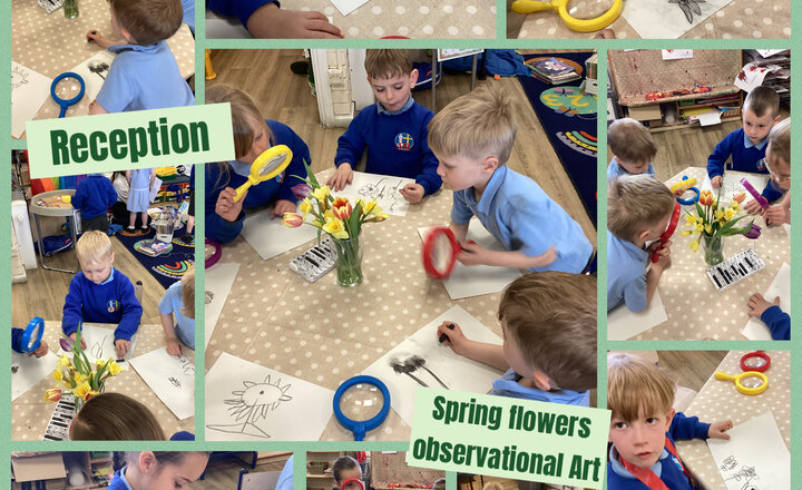 Image of Reception Observational Spring Art