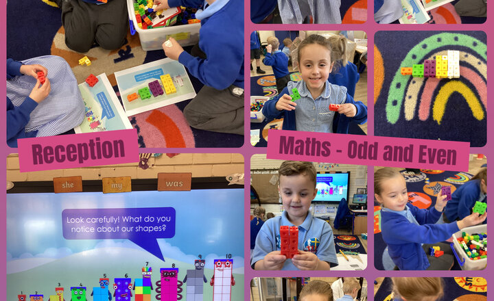 Image of Reception Maths - Odd and Even