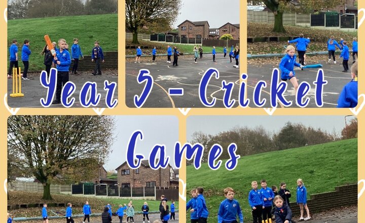 Image of Year 5 - Cricket