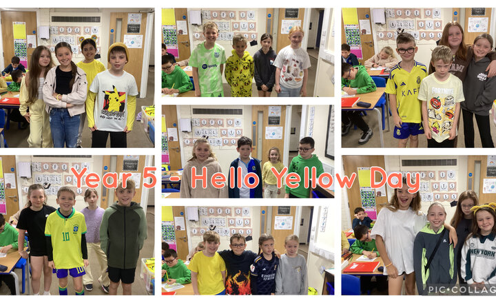 Image of Year 5 - Hello Yellow Day