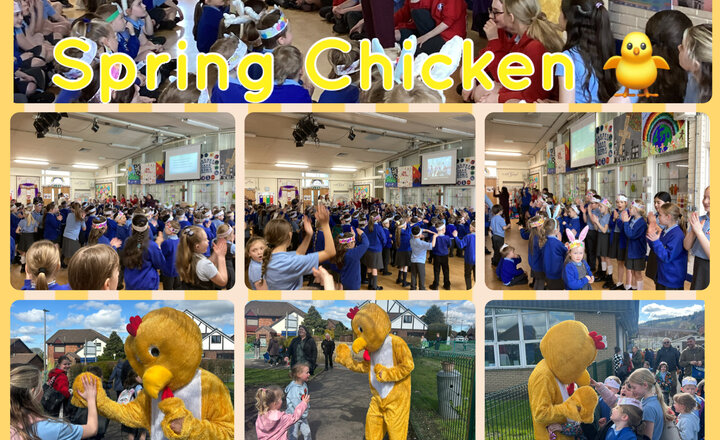 Image of Spring Chicken