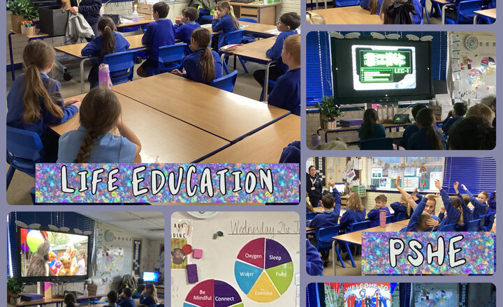 Image of Year 4 - Life Education