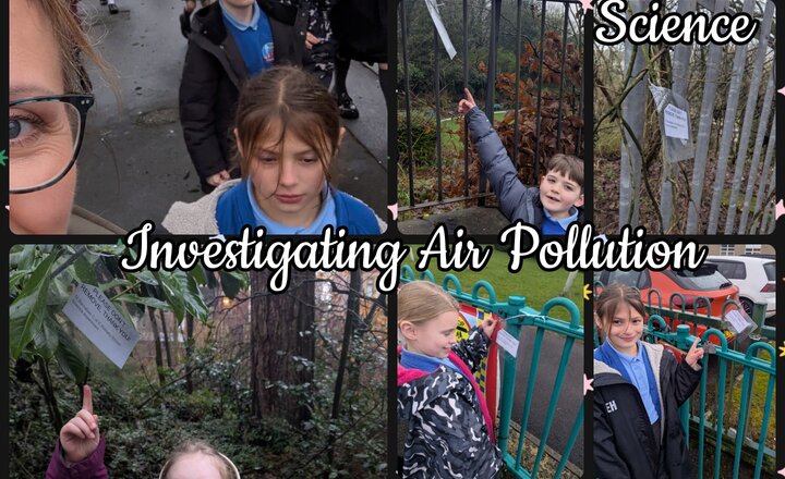 Image of Year 4 - Science: Air Pollution