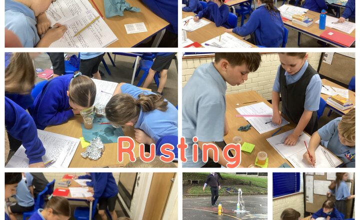 Image of Year 5 - Science