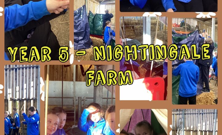 Image of Year 5 - Nightingale Farm