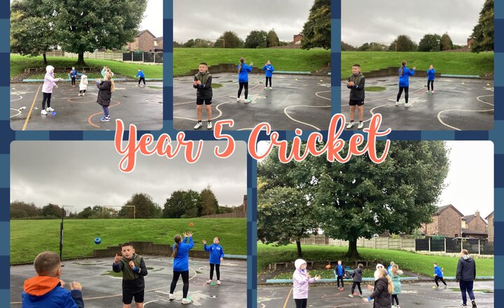 Image of Year 5 - Cricket