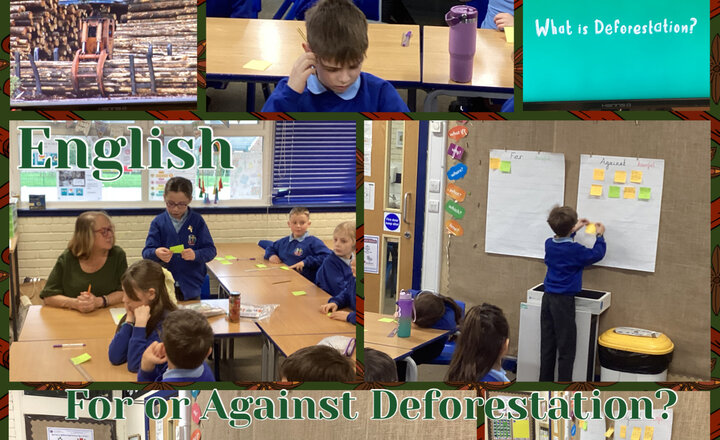Image of Year 4 - English: For or Against Deforestation?