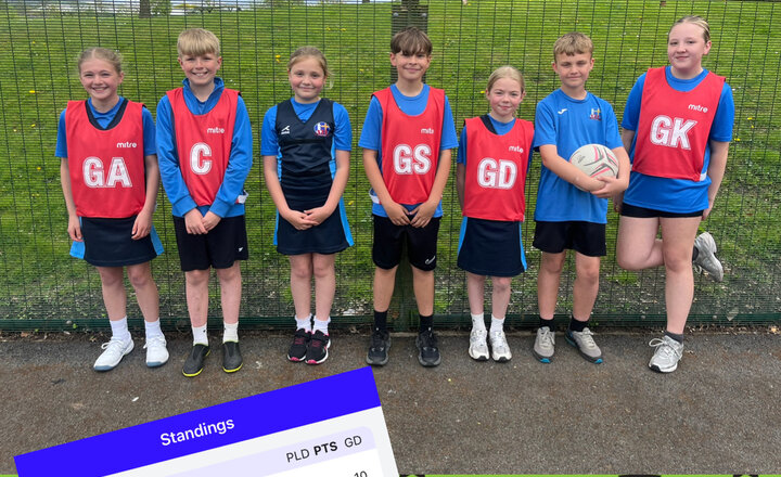 Image of Bee Stinger Netball Heat Winners 