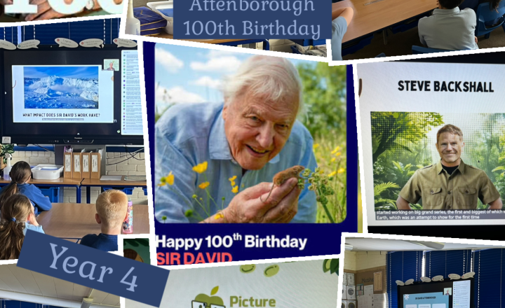 Image of Celebrating Sir David Attenborough’s 100th Birthday in Year 4 