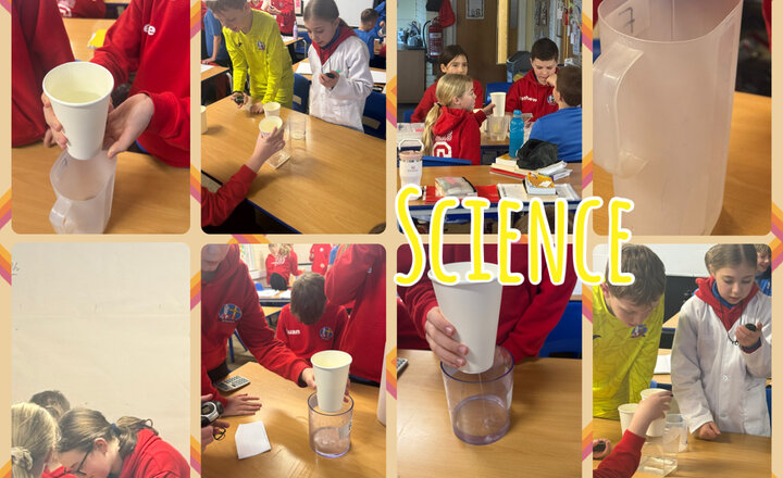 Image of Year 6 - Animals including humans 