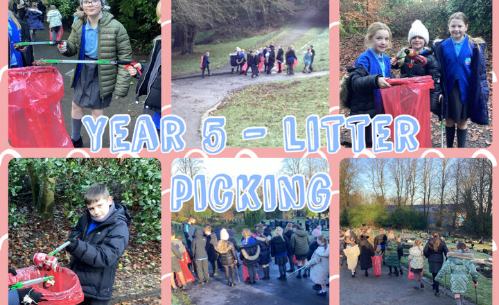 Image of Year 5 - Litter Picking