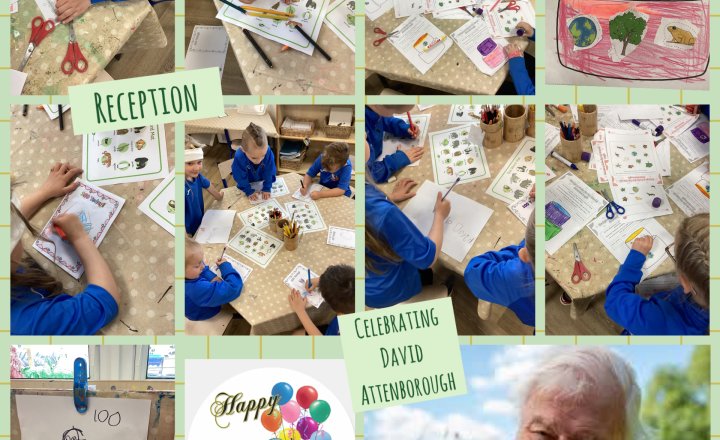 Image of Reception - Celebrating David Attenborough