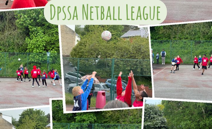 Image of DPSSA Netball League 