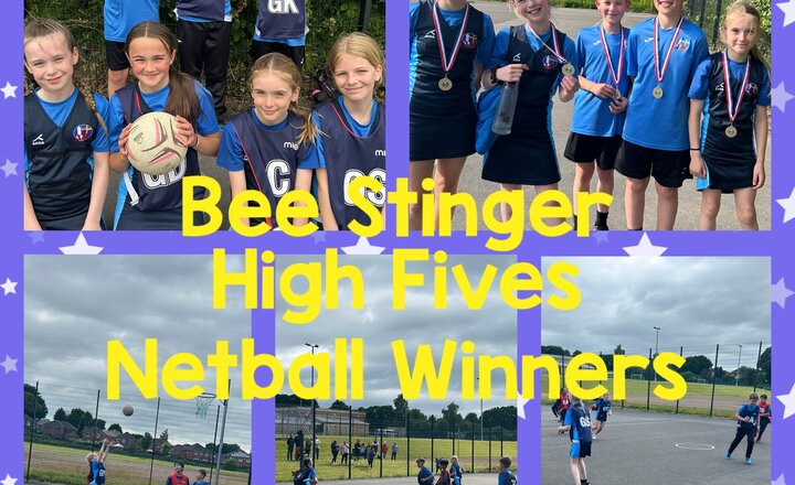 Image of High Fives Netball Winners 