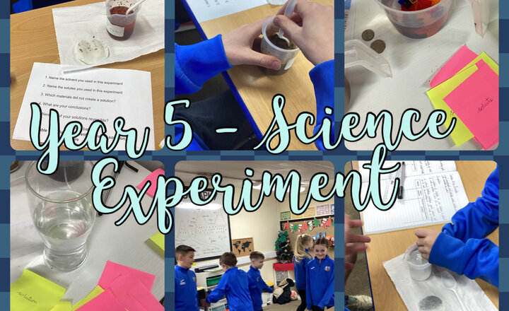 Image of Year 5 - Science Experiment