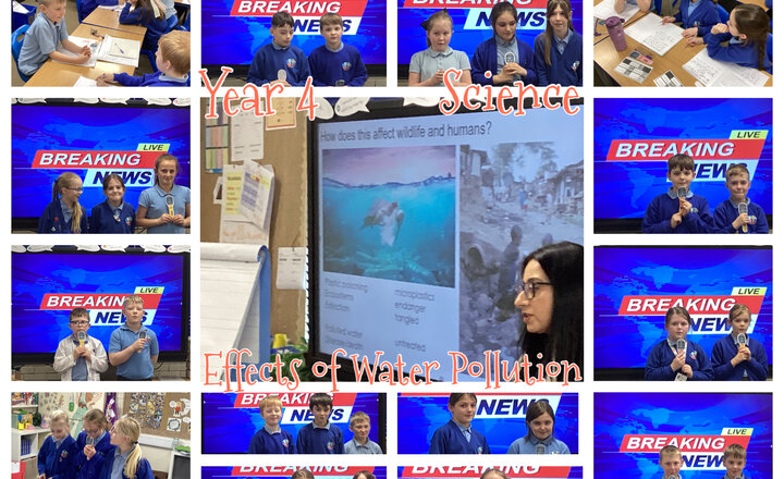Image of Year 4 - Science: Water Pollution