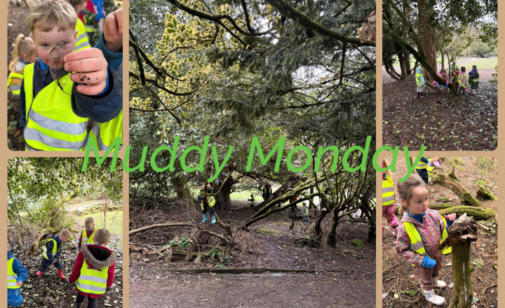 Image of Reception: Muddy Monday 