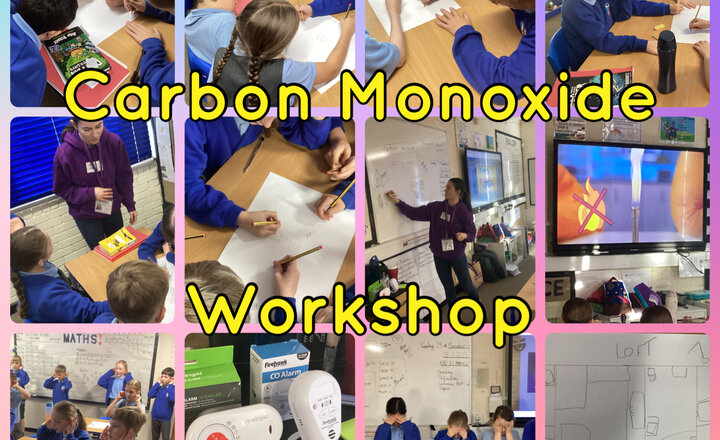 Image of Year 5 - Carbon Monoxide Workshop
