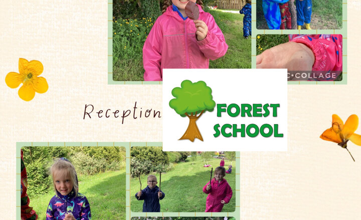 Image of Reception- Forest School 
