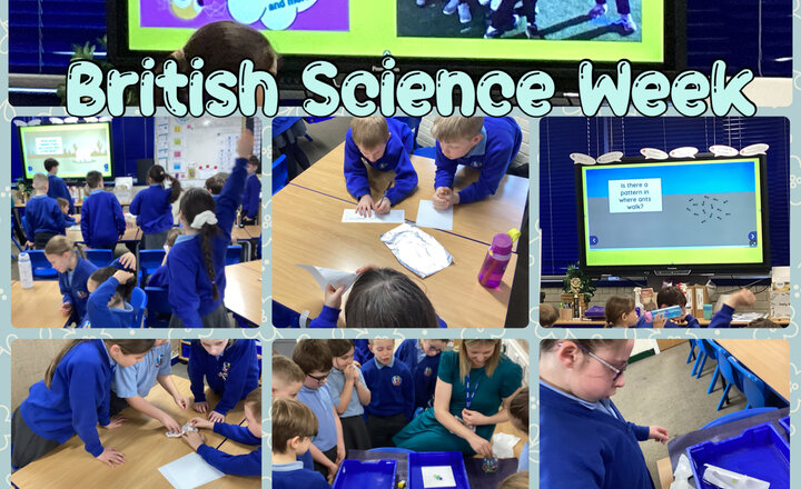 Image of Year 4 - British Science Week Investigation