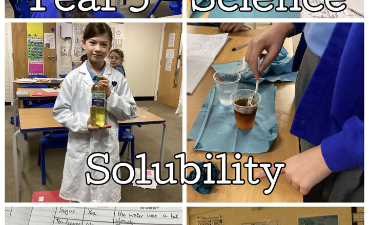 Image of Year 5 - Science