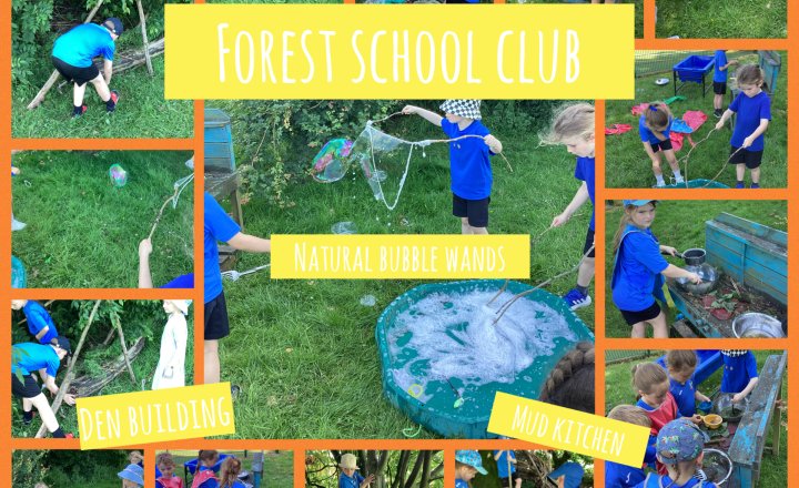 Image of Forest school club