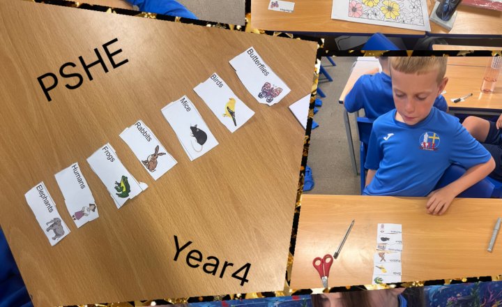 Image of PSHE - Growing and Changing in Year 4 