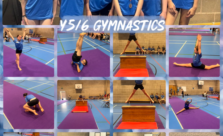 Image of Blackburn with Darwen Primary Schools Y5/6 Gymnastics Competition 