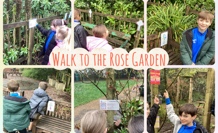 Image of Year 4 - Visit to the Rose Garden