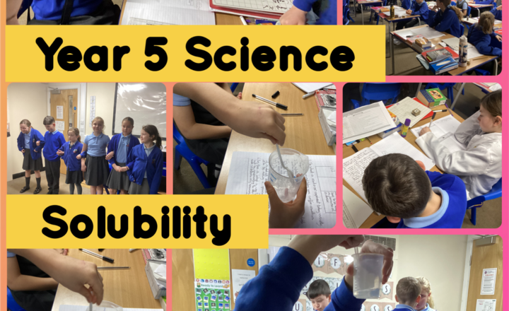 Image of Year 5 - Science