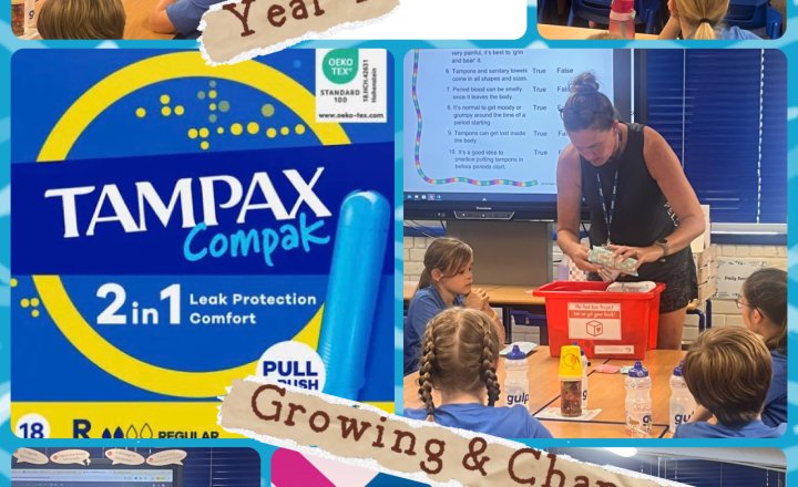 Image of Year 4 Growing & Changing in PSHE & RSE 