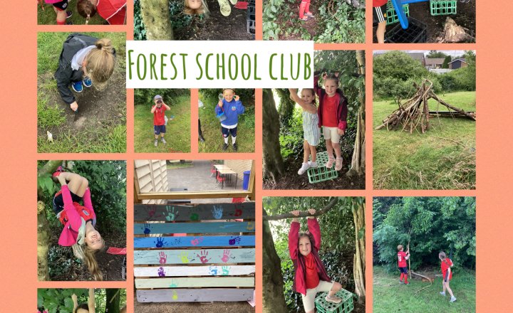 Image of Forest School Club