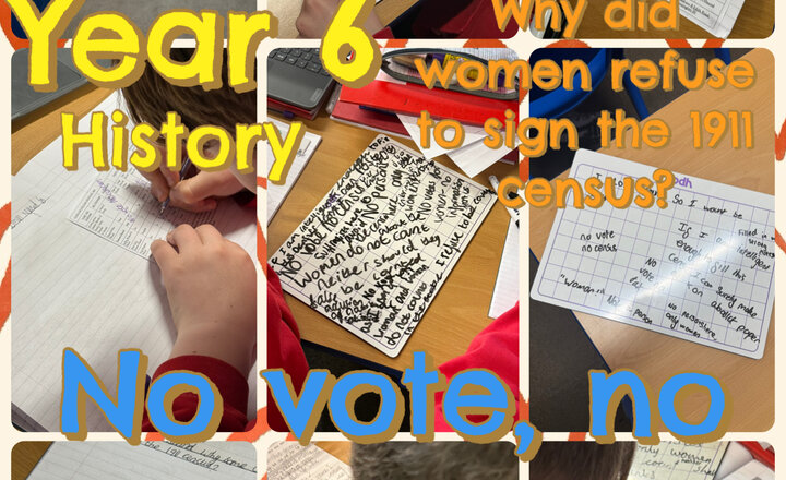 Image of Year 6 - 1911 Census Boycott 