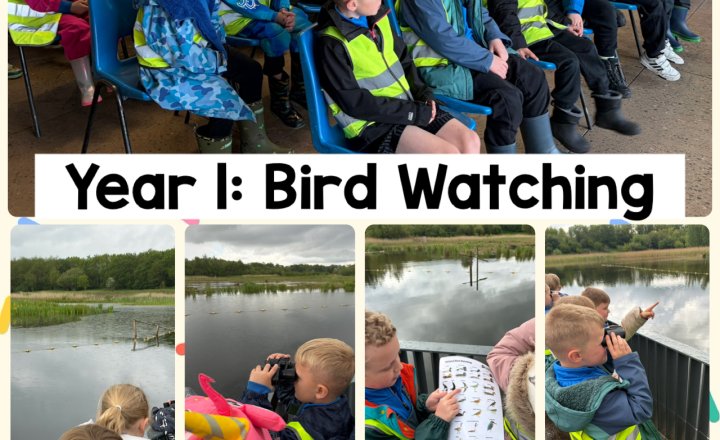 Image of Year 1: Bird Watching 