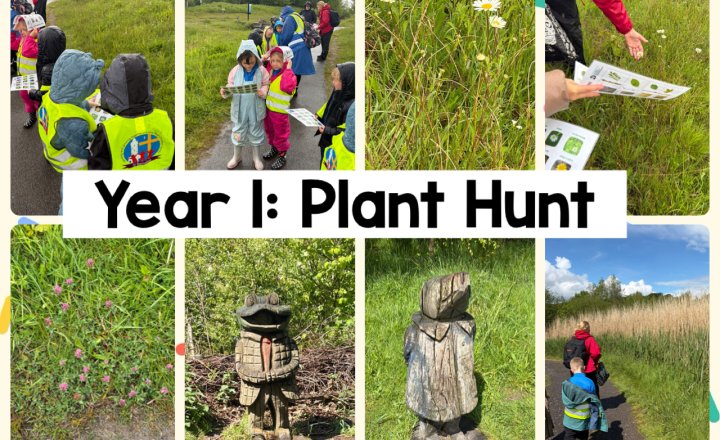 Image of Year 1: Plant Hunt