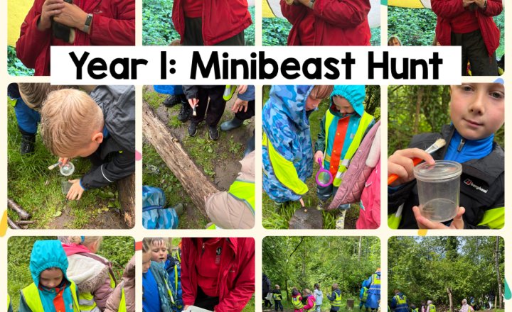 Image of Year 1: Minibeast Hunt