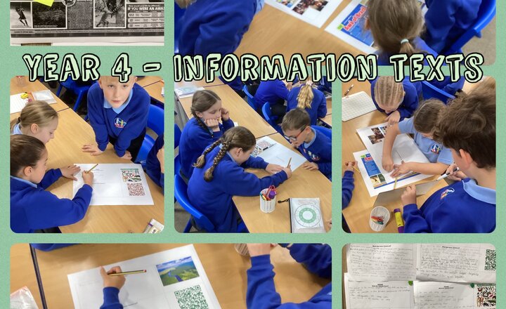 Image of Year 4 - English : Information Texts