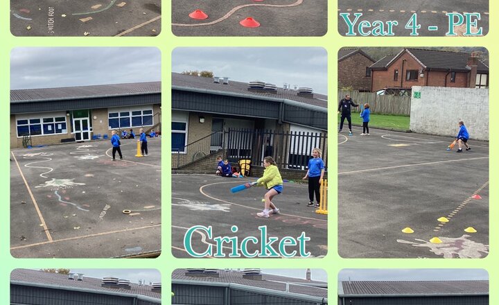 Image of Year 4 - Cricket: Applying Skills