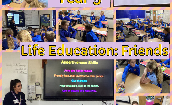 Image of Year 5 Life Education: Friends