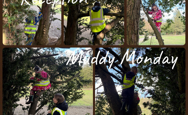 Image of Reception: Muddy Monday